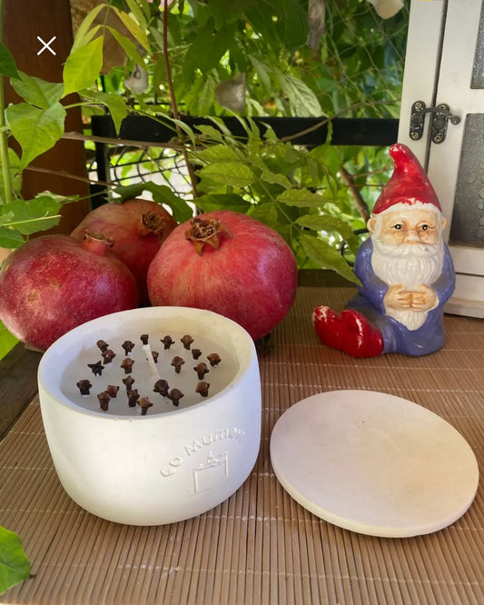 Kokulu Mum, özel taş kasede, Arı, Sivrisinek ve Uçan böcek türleri için kovucu özel yapım kapaklı dekoratif mum