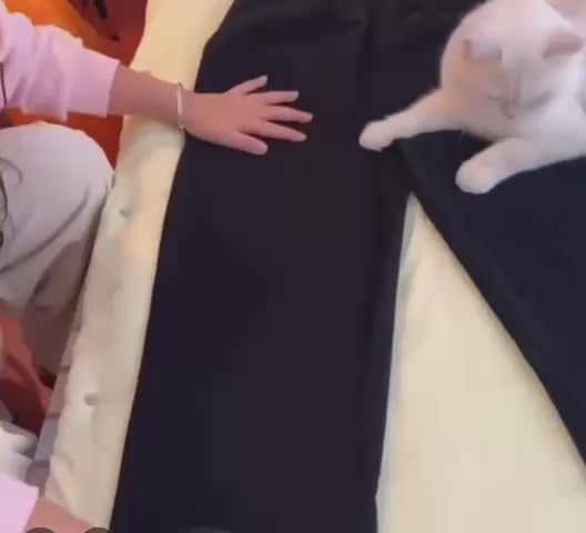 Tüğ Toplayıcı statik eldiven, çift taraflı kanallı eldiven kedi, köpek evcil hayvan tüğ toplama